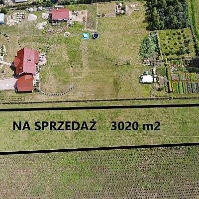 DZIAŁKA na SPRZEDAŻ