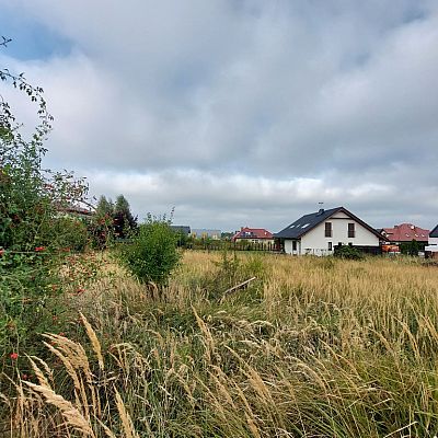 DZIAŁKA na SPRZEDAŻ