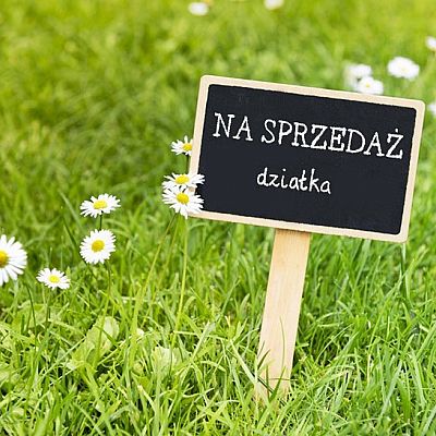 DZIAŁKA na SPRZEDAŻ