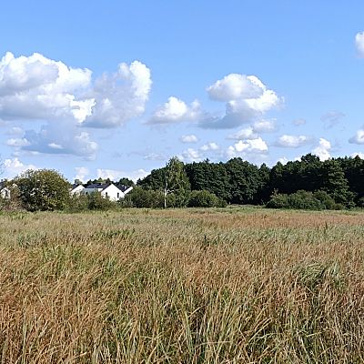 SPRZEDAŻ na DZIAŁKA w Dobra