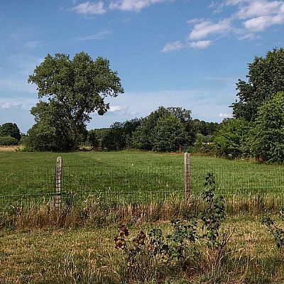 SPRZEDAŻ na DZIAŁKA w Brzózki