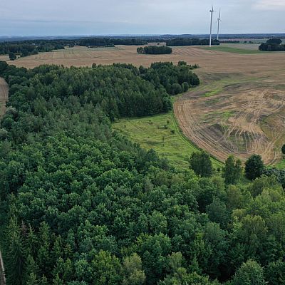 DZIAŁKA na SPRZEDAŻ