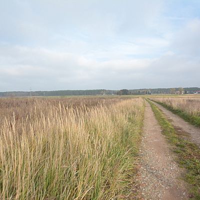 SPRZEDAŻ na DZIAŁKA w Wołczkowo