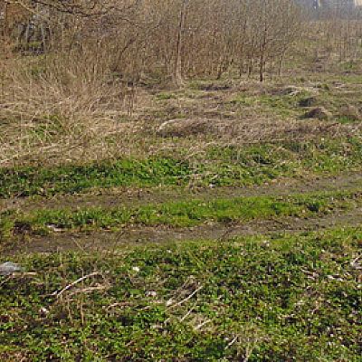 SPRZEDAŻ na DZIAŁKA w Szczecin